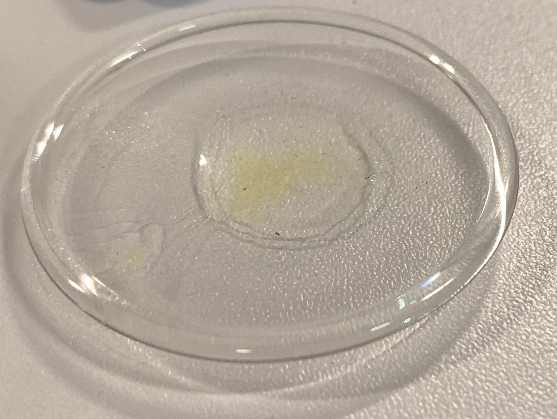 Pollen