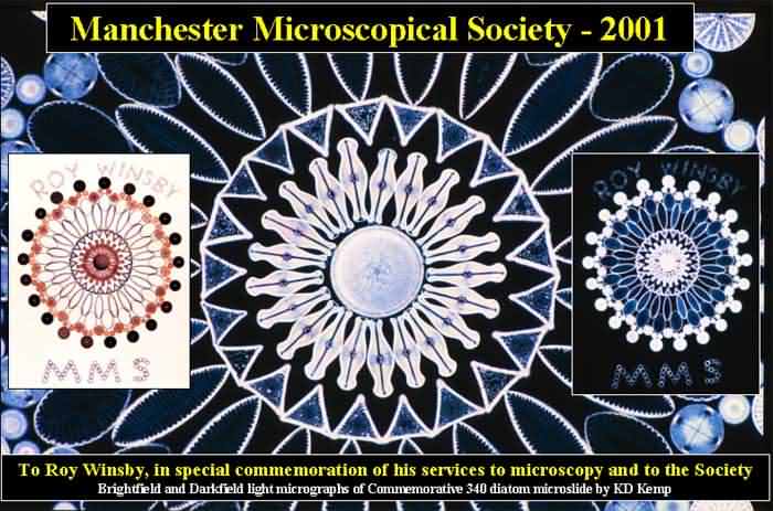 Roy Winsby
                                                      Diatoms